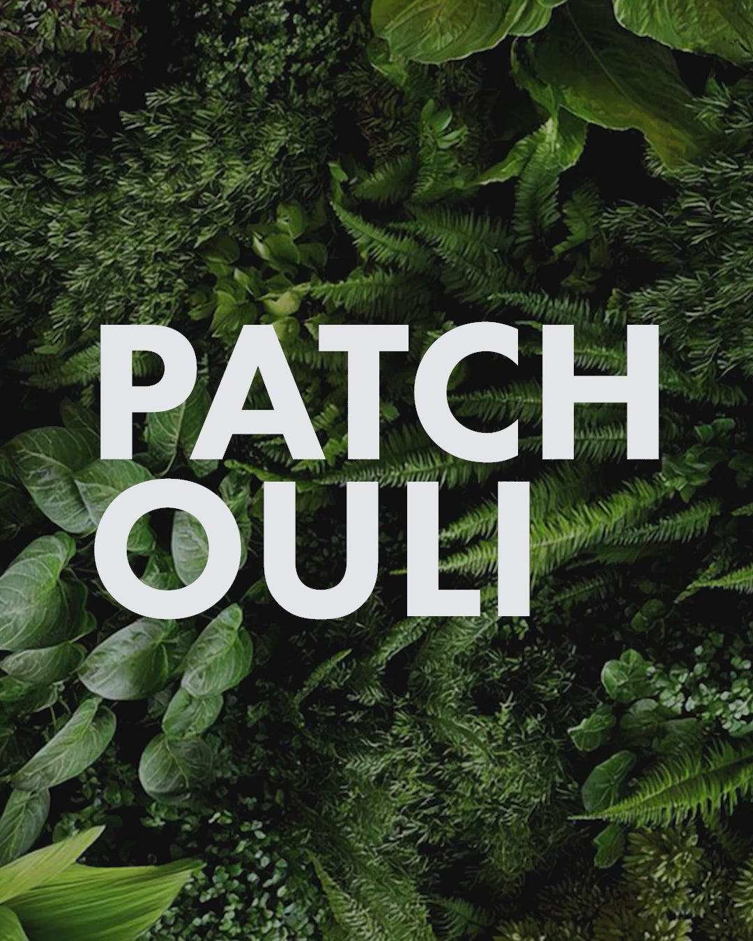 Patchouli video parfume